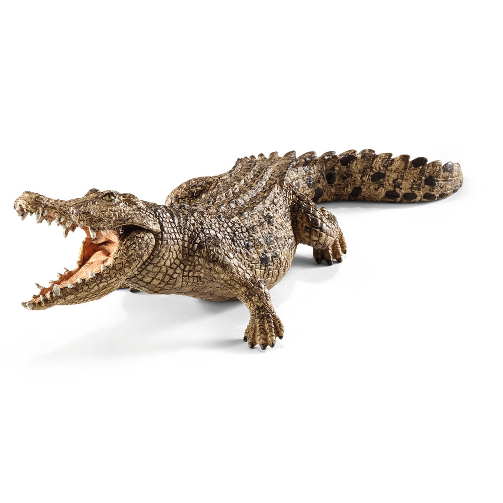 Krokodille