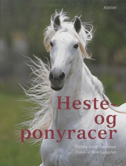 Heste- og ponyracer