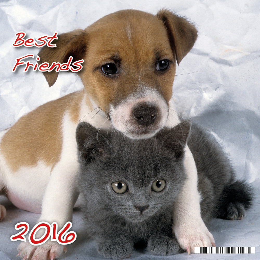 KALENDER BILLEDE LILLE BEST FRIENDS 2016