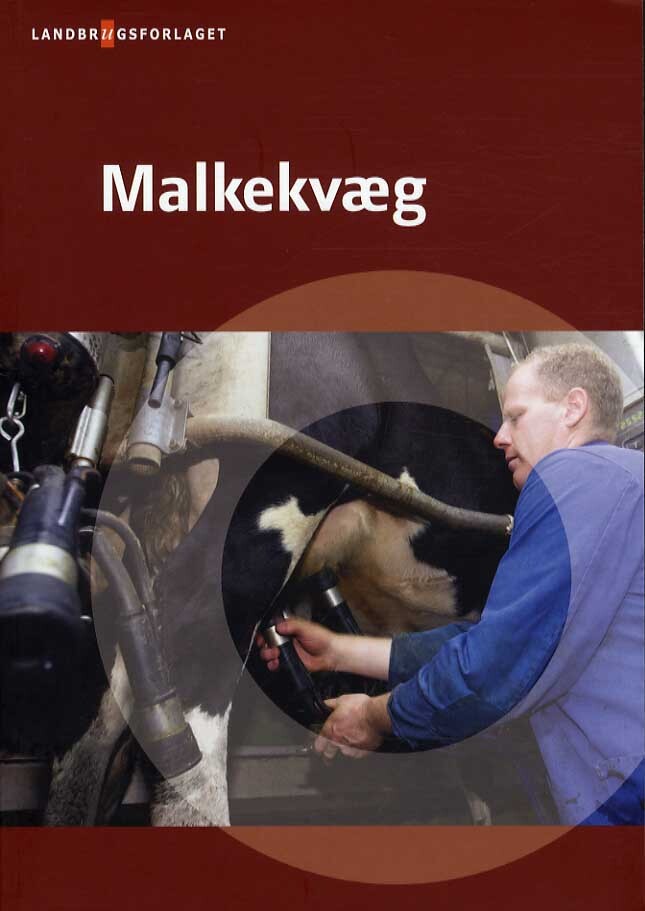 Mælkekvæg