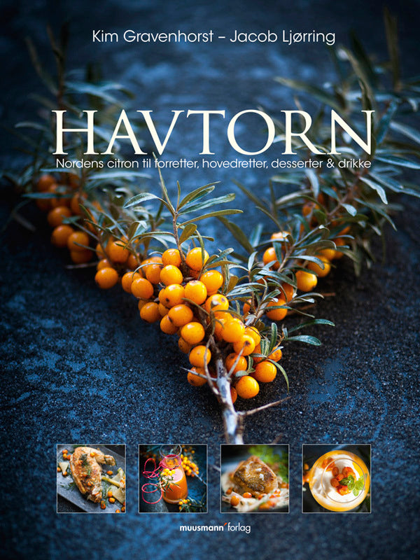 Havtorn