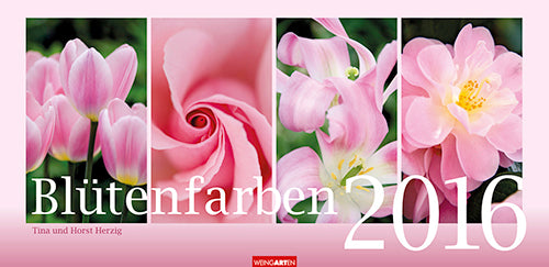 Blütenfarben 2016
