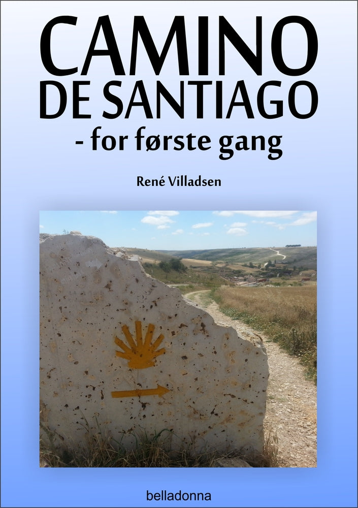Camino de Santiago