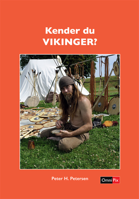 Kender du VIKINGER?