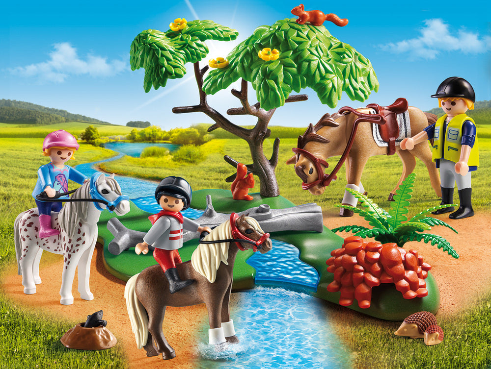 6947 RIDEUNDERVISNING PÅ PONY