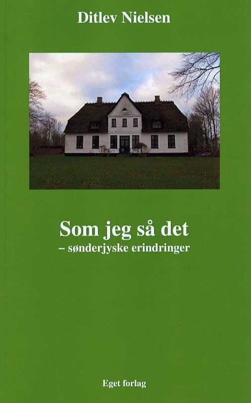 Som jeg så det