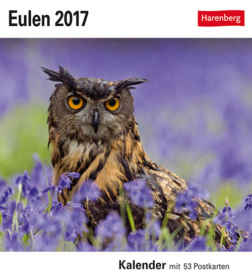 Eulen Postkkortkalender 2017