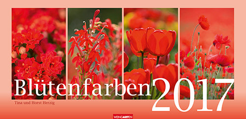 Blütenfarben - Flowers 2017