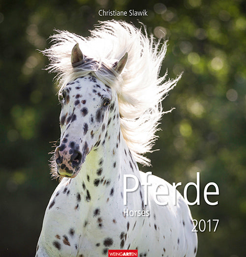 Pferde - Horses 2017