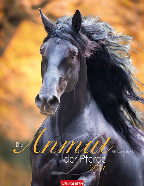 Die Anmut der Pferde - The Grace of Horses 2017