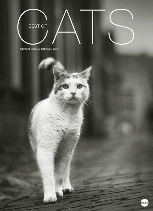 Cats Edition 2017