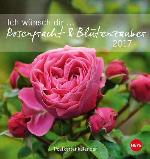 Ich wünsch dir Rosenpracht & Blütenzauber Postkortkalender 2017