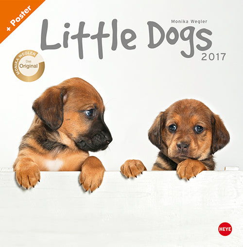 Wegler - Little Dogs Posterkalender 2017