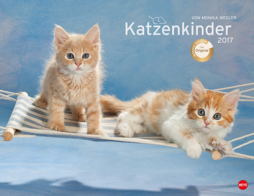 Katzenkinder Posterkalender 2017