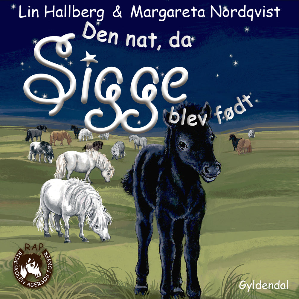 Sam og Sigge 2 - Den nat, da Sigge blev født.