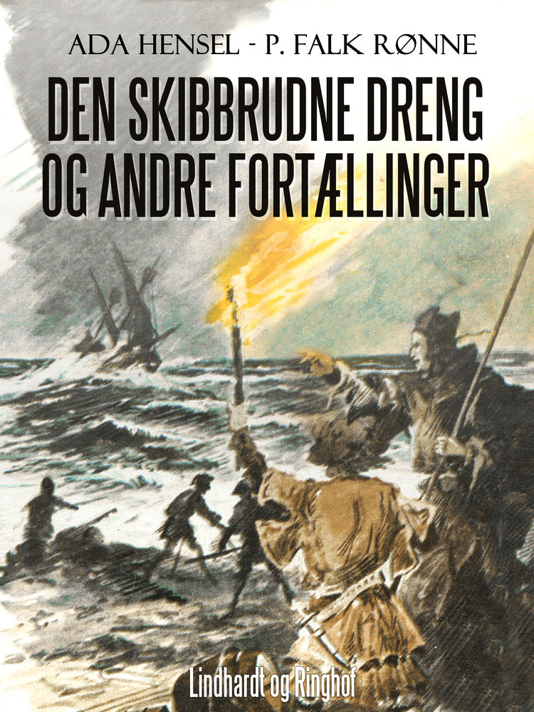 Den skibbrudne dreng og andre fortællinger