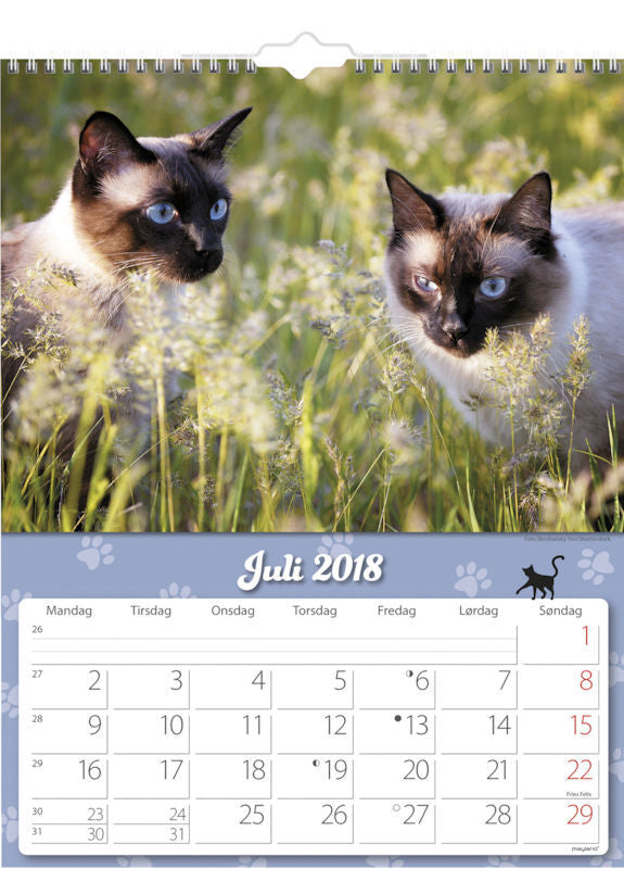 VÆGKALENDER KATTE 2018 MAYLAND