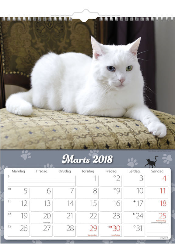 VÆGKALENDER KATTE 2018 MAYLAND
