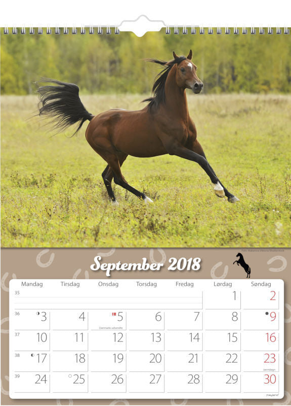 VÆGKALENDER HESTE 2018 MAYLAND