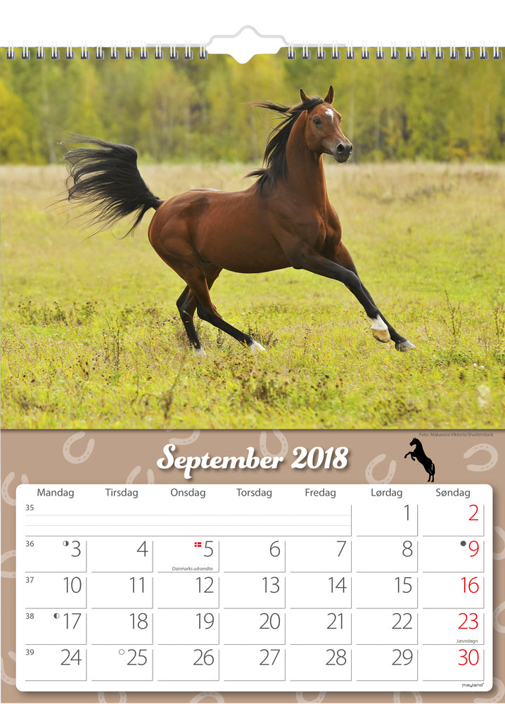 VÆGKALENDER HESTE 2018 MAYLAND