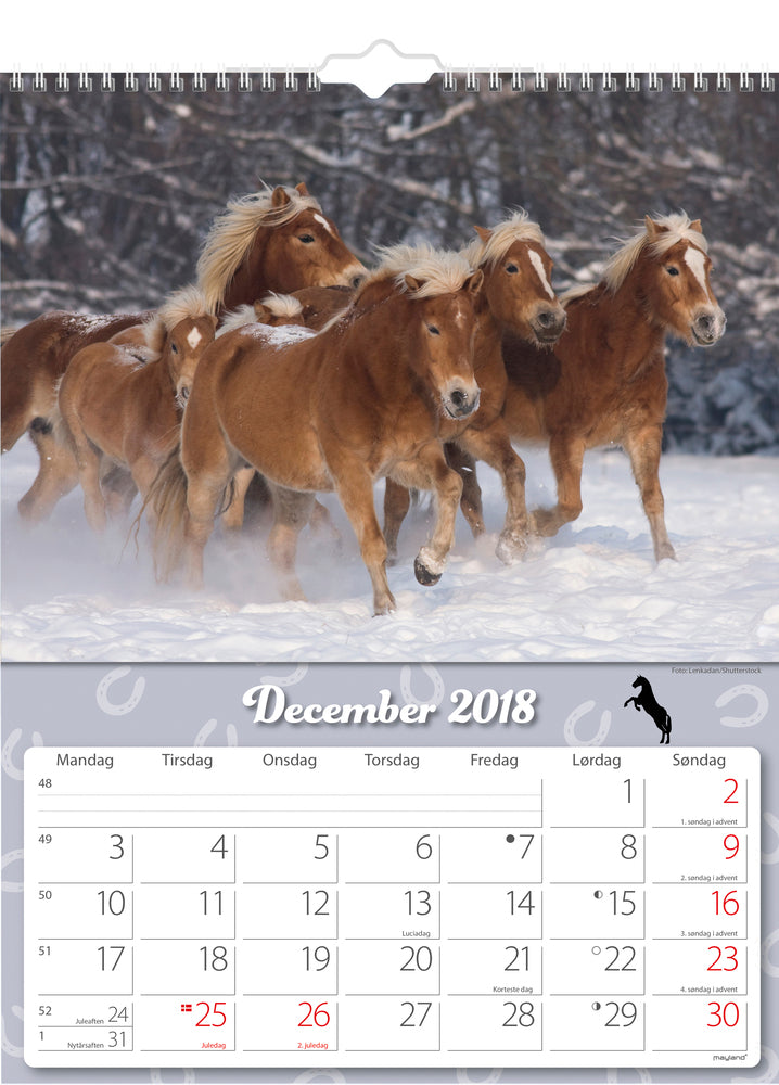 VÆGKALENDER HESTE 2018 MAYLAND