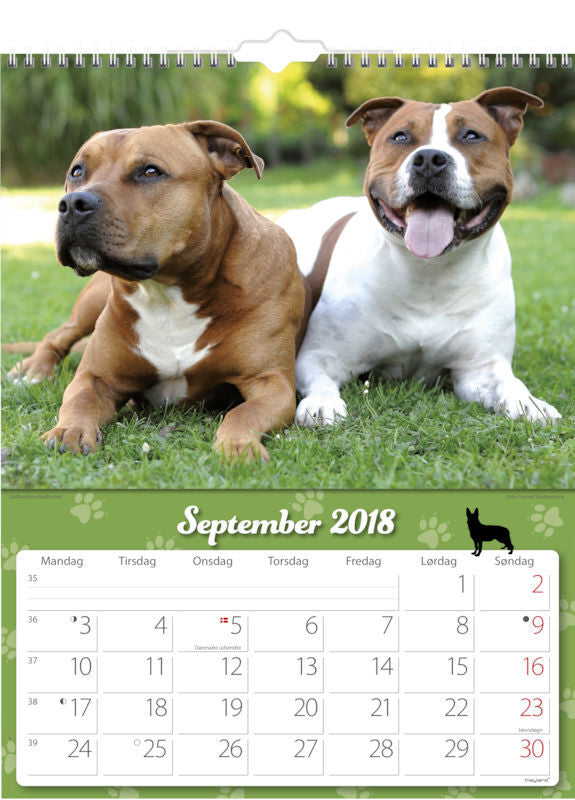 VÆGKALENDER HUNDE 2018 MAYLAND