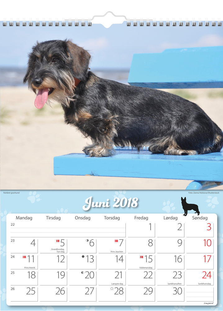 VÆGKALENDER HUNDE 2018 MAYLAND