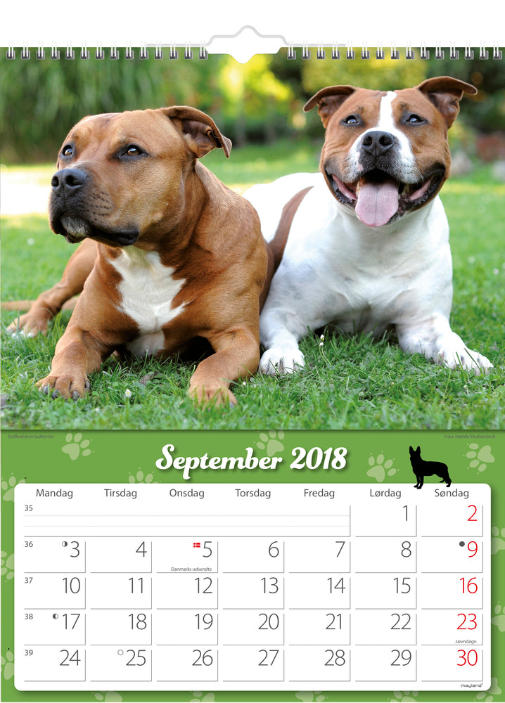 VÆGKALENDER HUNDE 2018 MAYLAND