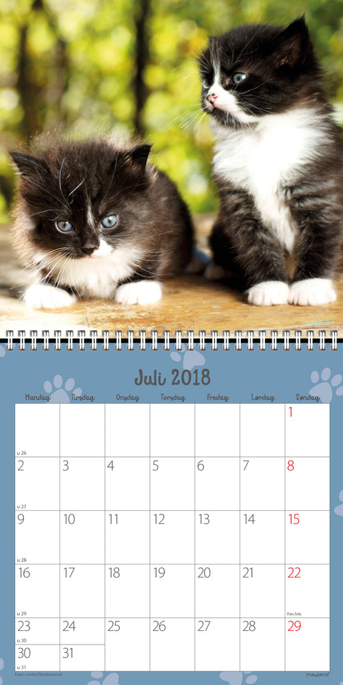 VÆGKALENDER KATTEKILLINGER 2018 MAYLAND