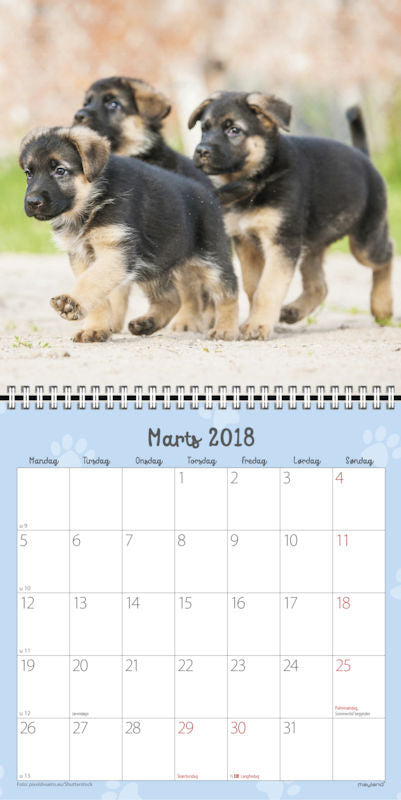 VÆGKALENDER HUNDEHVALPE 2018 MAYLAND