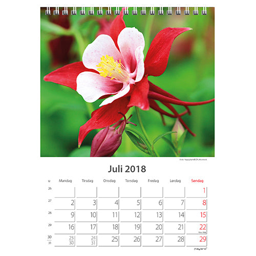 BORDKALENDER BLOMSTER 2018 MAYLAND