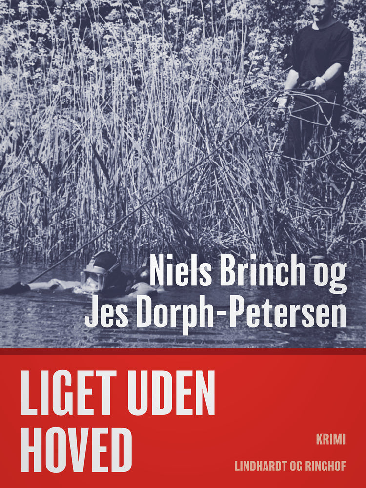 Liget uden hoved