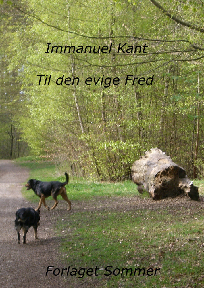 Til den evige fred