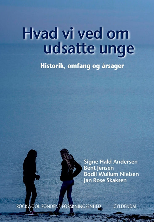 Hvad vi ved om udsatte unge 1