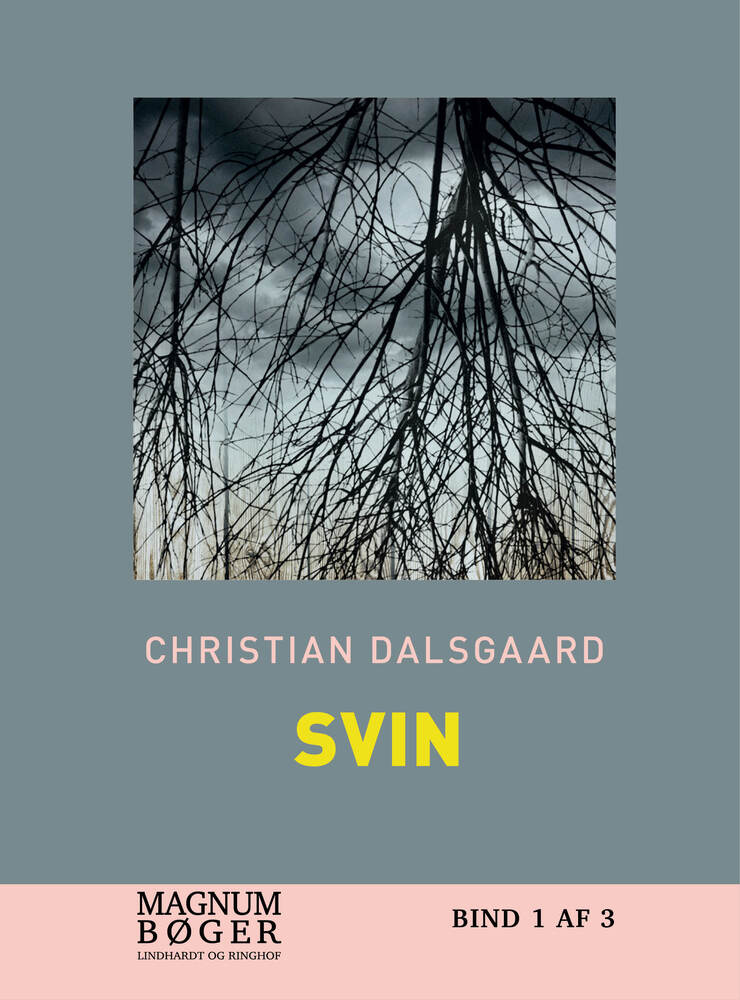 Svin