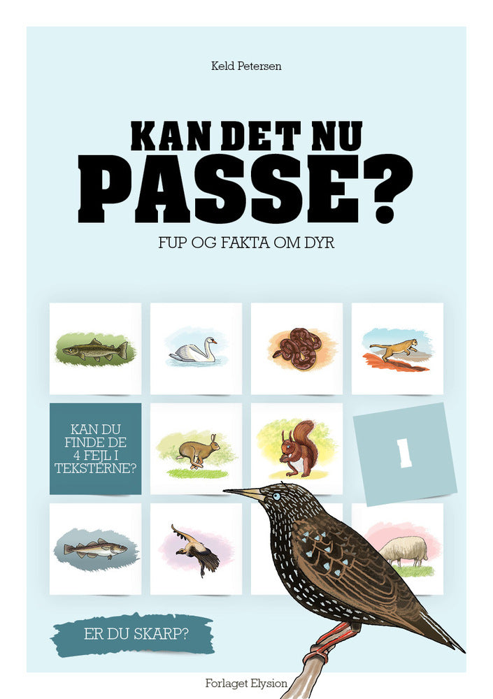 Kan det nu passe?