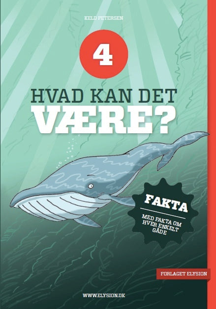 Hvad kan det være?