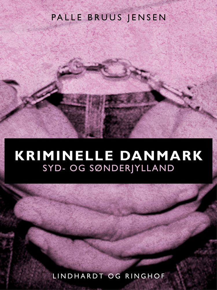 Kriminelle Danmark. Syd & Sønderjylland