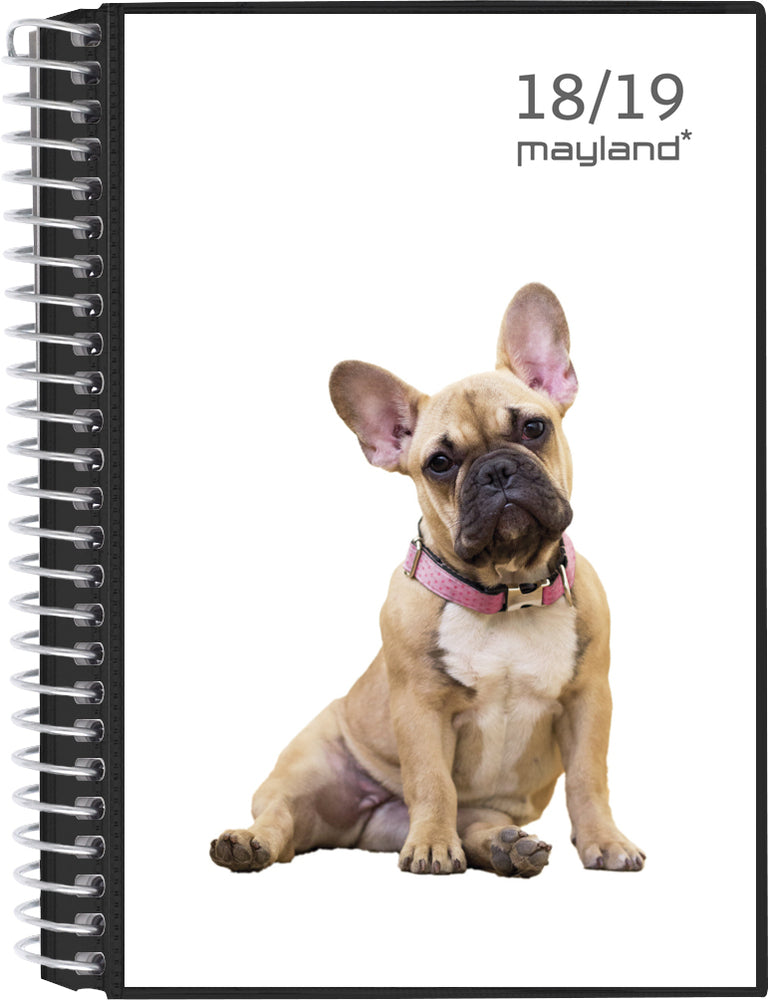 LEKTIEKALENDER MAY. 18/19 STOR UGE 4I1