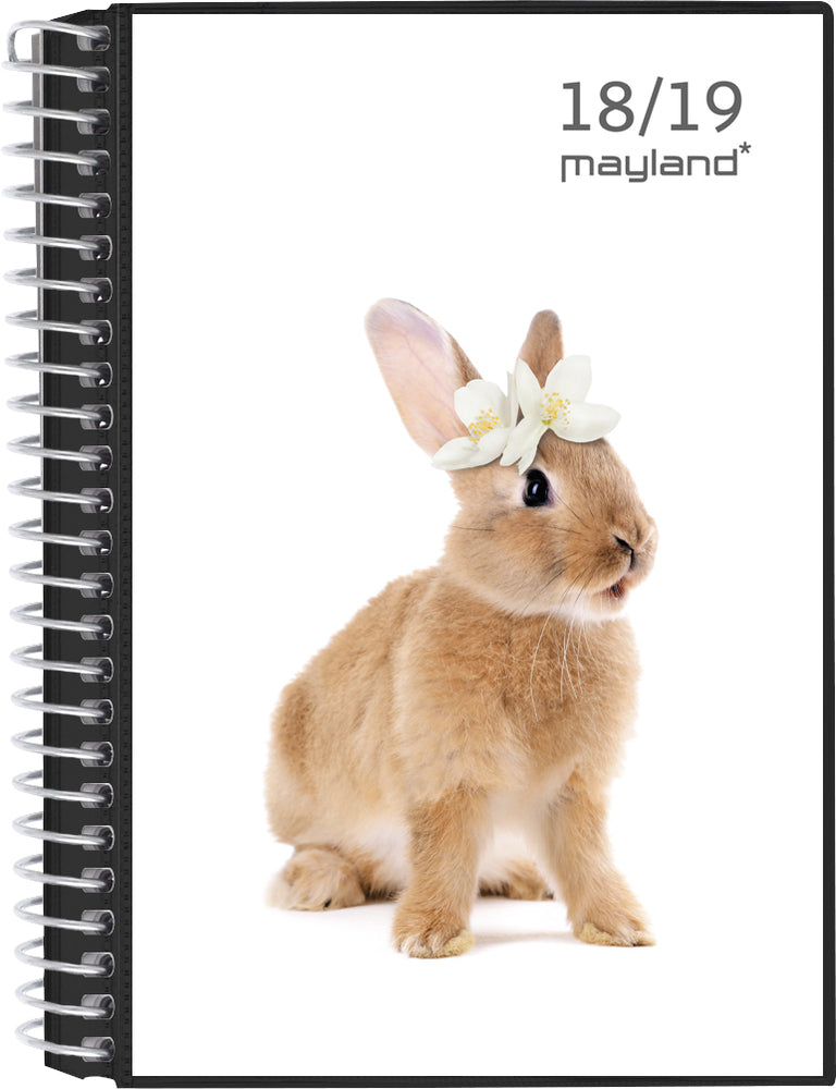 LEKTIEKALENDER MAY. 18/19 STOR UGE 4I1