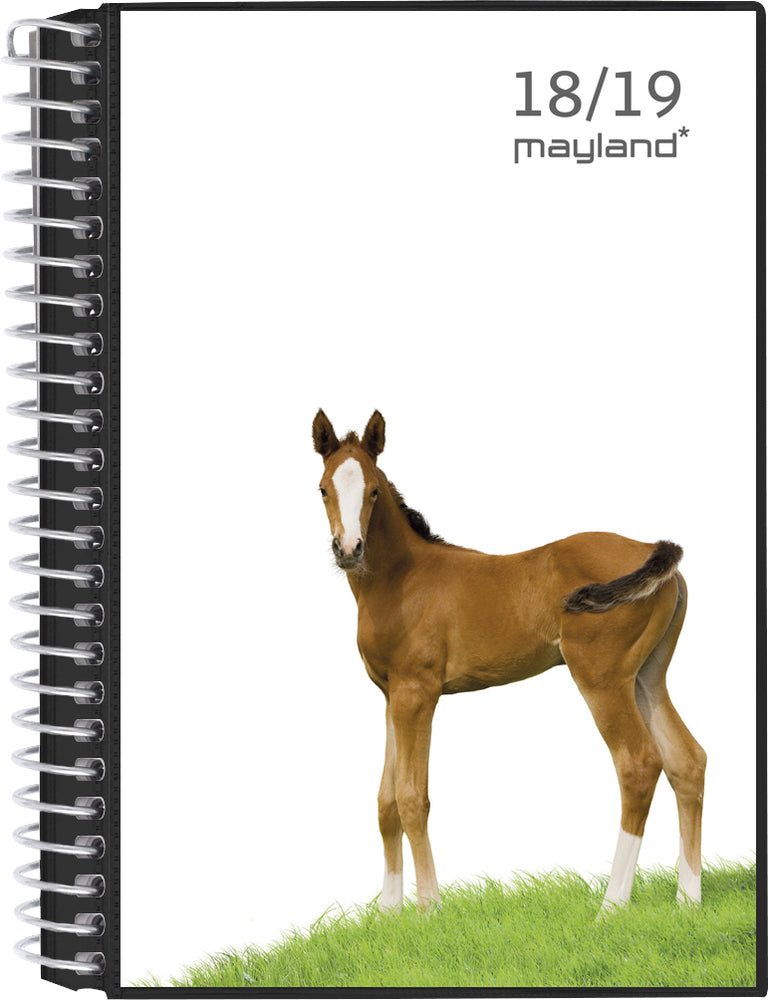LEKTIEKALENDER MAY. 18/19 STOR UGE 4I1