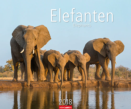 Elefanten 2018 Kalender
