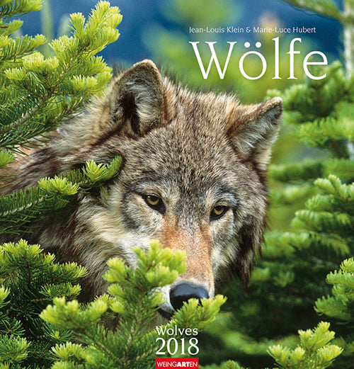 Wölfe 2018 Kalender