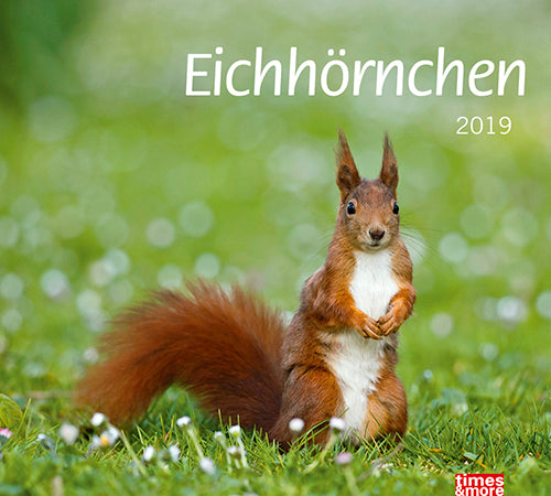 Bildkalender Eichhörnchen 2018