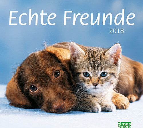 Bildkalender Echte Freunde 2018