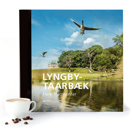 Lyngby-Taarbæk – Flere fragmenter