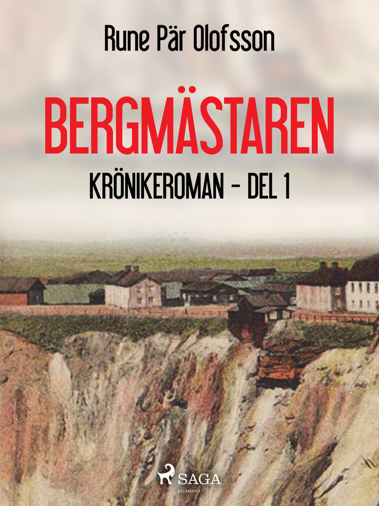 Bergmästaren : krönikeroman, del 1