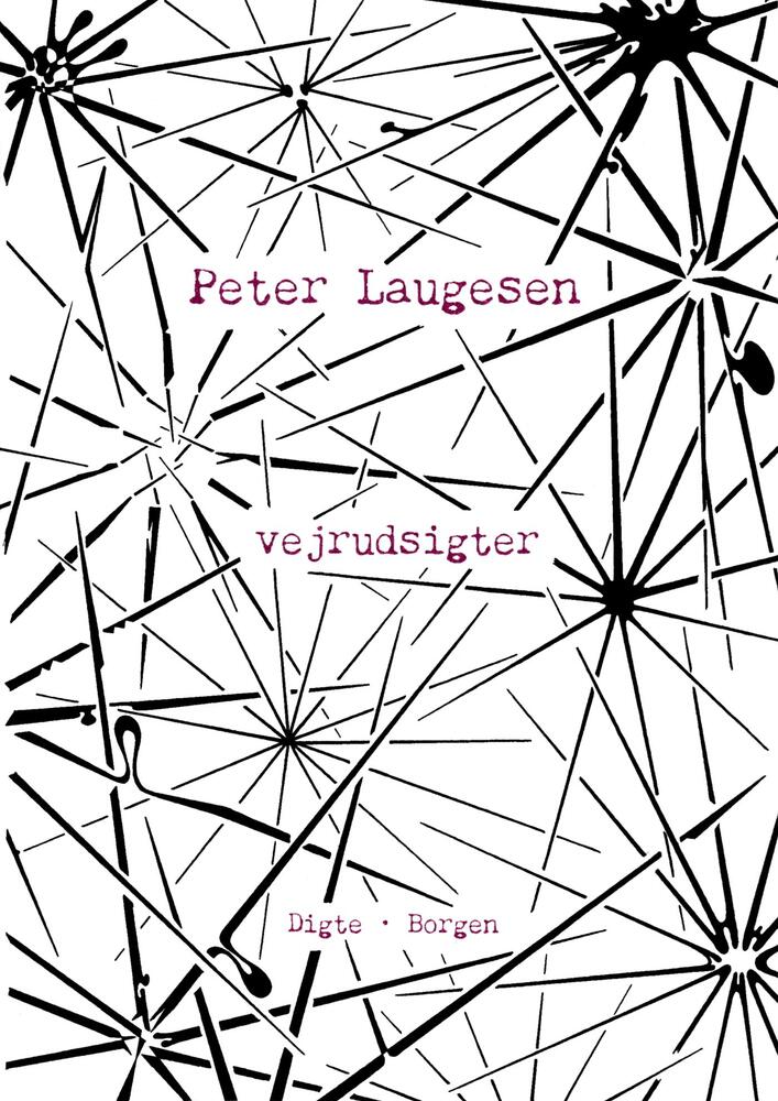 Vejrudsigter