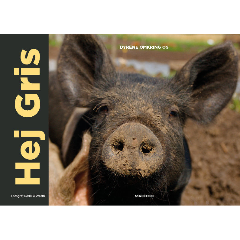 Hej Gris
