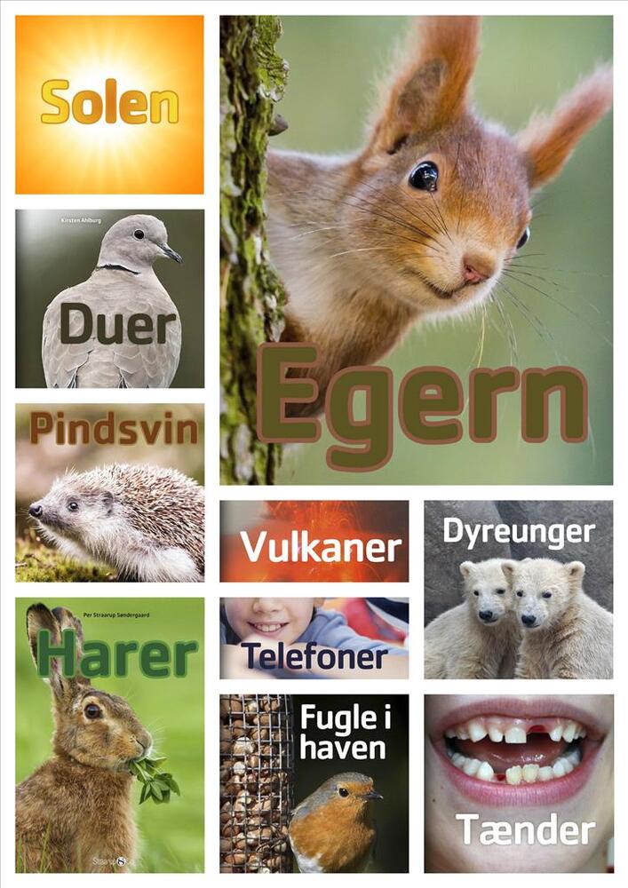 Fakta Bogpakke 1 - Letlæsning for børn